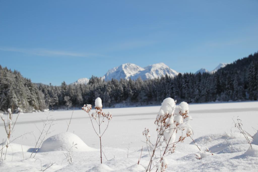 Ferienwohnungen Weiherbach - Hallenbad Берхтесгаден Екстериор снимка