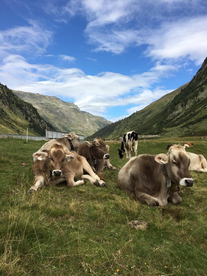 Ferienwohnungen Weiherbach - Hallenbad Берхтесгаден Екстериор снимка